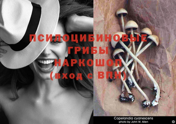 мескалин Нязепетровск