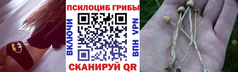 где найти   Заводоуковск  Псилоцибиновые грибы мухоморы 