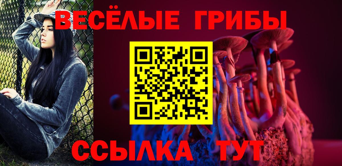 Галлюциногенные грибы прущие грибы  Вход с VPN  Галлюциногенные грибы Psilocybe  Заводоуковск 