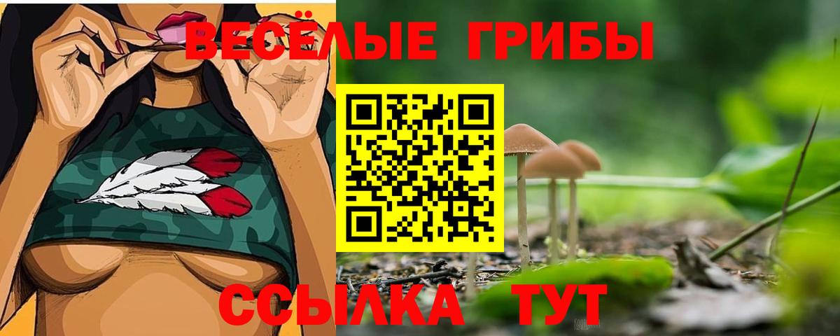 Галлюциногенные грибы прущие грибы Заводоуковск
