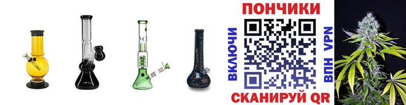 darknet наркотические препараты  где купить наркоту  Заводоуковск  Бошки Шишки сатива 