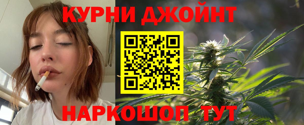 Шишки марихуана сатива  Шишки марихуана ГИДРОПОН  Конопля планчик  Каннабис сатива  Заводоуковск 